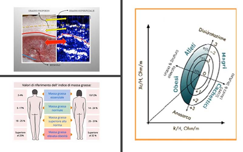 Grasso Corporeo: è importante misurare la sua distribuzione