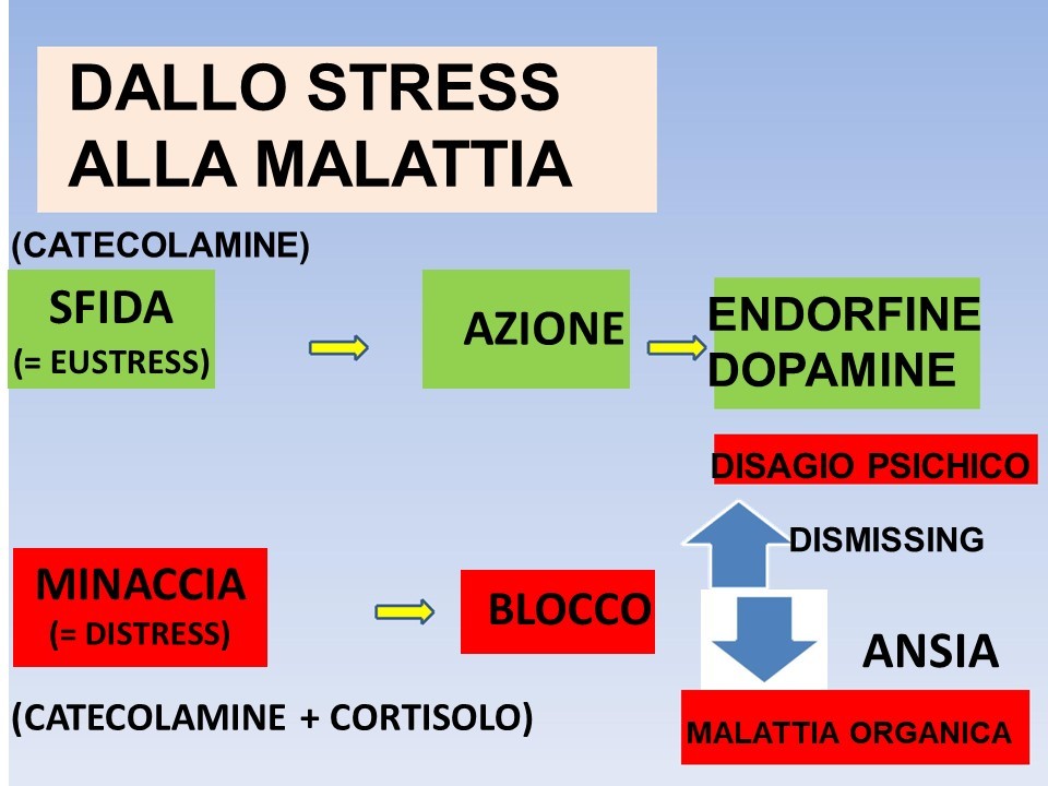 Cosa accade quando siamo sotto stress